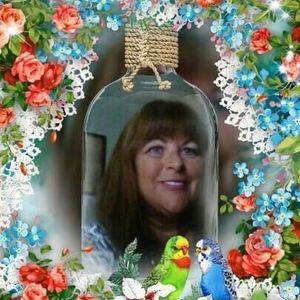 Meet your Posher, Lauress